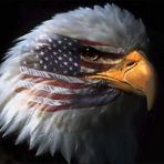 Bruce Frank - Facebook