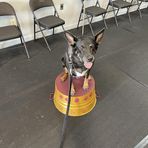 Bruce Frank - Facebook