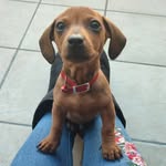 Bruce Fredericks - @brave_brucee - Instagram