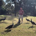 Bruce Fuller - @brucefuller9241 - Instagram