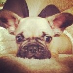 Bruce_gallagher - @bruce_gallagher - Instagram