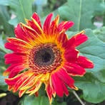 Bruce Gallagher - Facebook