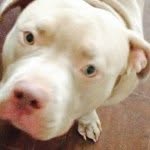 Bruce Ellington Gamble - @bruce232013 - Instagram