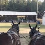 Bruce Gamble - @brucegamble764 - Instagram