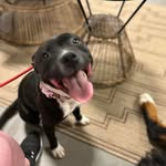 Bruce Geiger - @bgeiger78 - Instagram