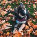 Bruce Geiger - Facebook