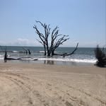 Bruce Geiger - @brucegeiger - Instagram