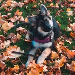 Bruce Geiger - @geiger_bruce - Instagram