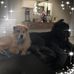 Bruce Gill - Facebook