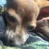 bruceegil9+10=19/21 - @brucee.gil.20 - TikTok