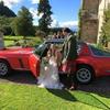 brucegillan379 - @brucegillan379 - TikTok