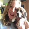 Bruce the dog 🐶  - @bruce_gold - TikTok