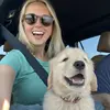 Bruce The Golden - @bruce_the_golden_pup_ - TikTok