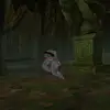 Bruce - @bruce.gorilla - TikTok