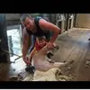bruce___grace - @bruce___grace - TikTok