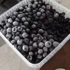 bruce_grace - @bruce_grace - TikTok