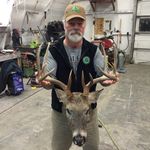 Bruce Grass - @bruce.grass - Instagram