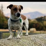 BRUCE GRAY - @brucegray_ - Instagram