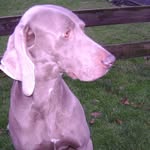 Bruce Gray - @bruce.gray.754 - Instagram