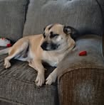 Bruce Gray - Facebook
