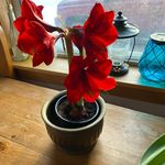 Bruce Greig - @greig3810 - Instagram
