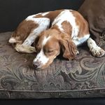 Bruce Greig - @br.greig.980 - Instagram