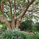Bruce Greig - @bruce.greig.142 - Instagram