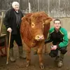 brucegreig115 - @brucegreig115 - TikTok