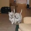 Bruce Grogan576 - @brucegrogan576 - TikTok