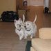 Bruce Grogan - Facebook