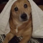 Bruce Grove - @bruce.g.fla - Instagram