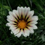 Bruce Gunter - @the.possibility.awaits - Instagram
