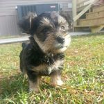bruce - @bruce_hadley - Instagram