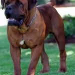Bruce Hadley - @bigdogsrock123 - Instagram