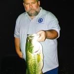 Bruce Hamilton - @bruce.hamilton.77377692 - Instagram
