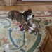 Bruce Hamilton - Facebook