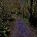 Bruce Hamilton - Facebook