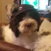 brucehansen72 - @brucehansen72 - TikTok