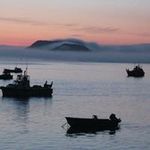 Bruce Harrell - @bruce.6900 - Instagram