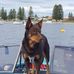 Bruce Harrison - Facebook