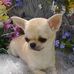 Bruce Harrison - Facebook