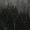 Bruce Harrison - @bruce.harrison84 - TikTok