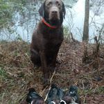 Bruce Hartman - @bruce5316 - Instagram