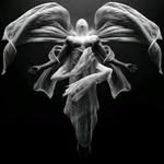 Bruce Havenga - @brucehavenga - Instagram