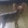 Bruce Hayes - @bruce.hayes30 - TikTok