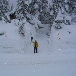 Bruce Haynes - @brucehaynes3 - Instagram