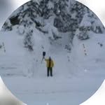 Bruce Haynes - @brucehaynes.3 - Instagram