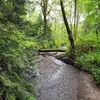 Bruce Hays - @bruce.hays14 - TikTok