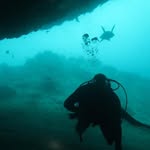 Bruce Healy - @healybruce - Instagram