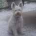 Bruce Healy - Facebook